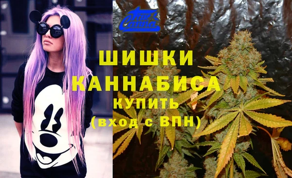 круглые Абаза